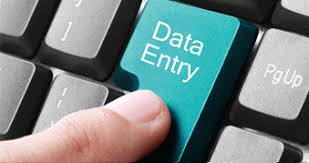 US Form Filling Project - Bulk & Single-System Data Entry 7708244092
